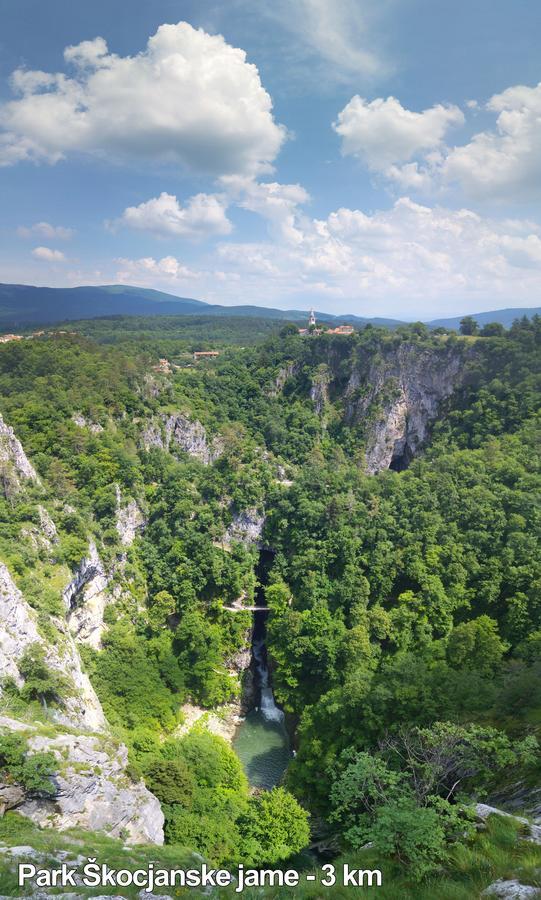 Bed And Breakfast Malovec Divaca Bagian luar foto
